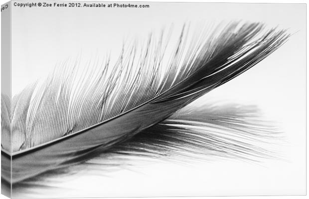Feather and it's reflection in B&W Canvas Print by Zoe Ferrie