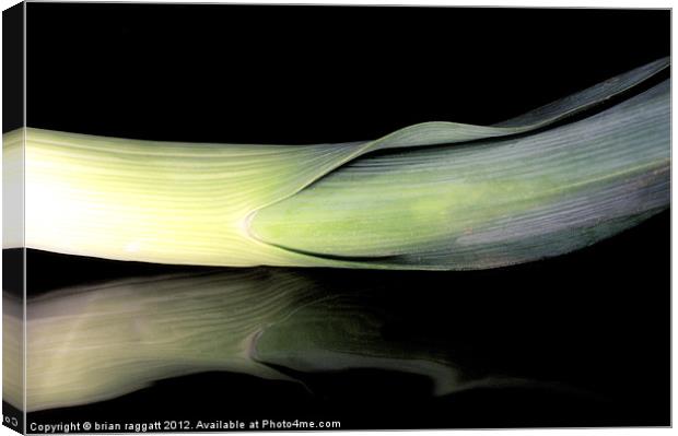 Leek on Black Canvas Print by Brian  Raggatt