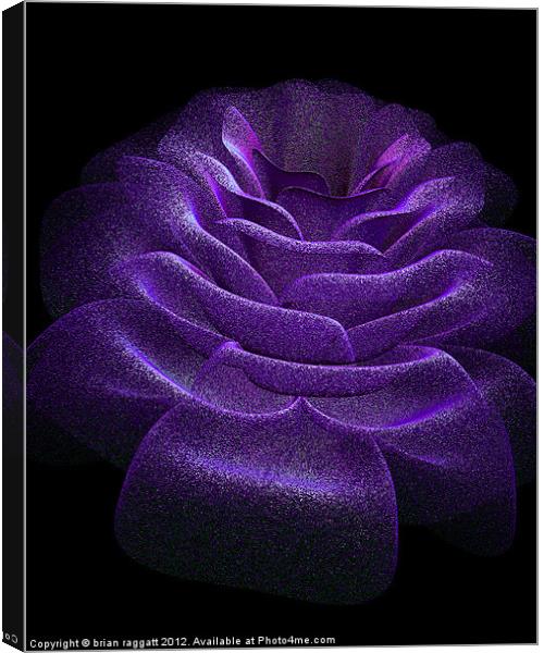 Digital Petals Canvas Print by Brian  Raggatt