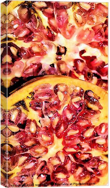 Pomegranate Seeds Canvas Print by Brian  Raggatt