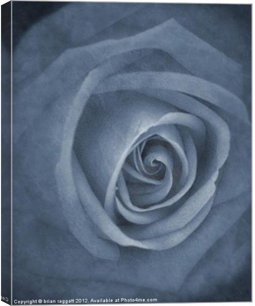 In Bloom Canvas Print by Brian  Raggatt