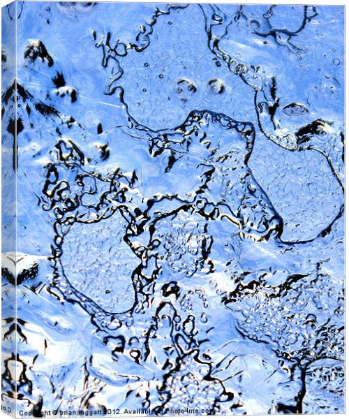 Ice Canvas Print by Brian  Raggatt