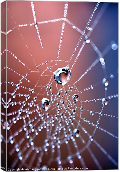 Spiders Necklace Canvas Print by Brian  Raggatt