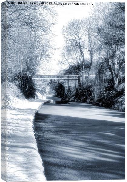 Frozen Canal Canvas Print by Brian  Raggatt