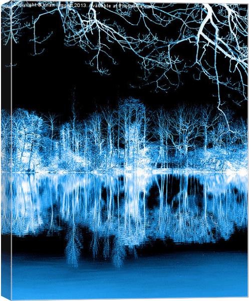 Lake Nights reflections Canvas Print by Brian  Raggatt