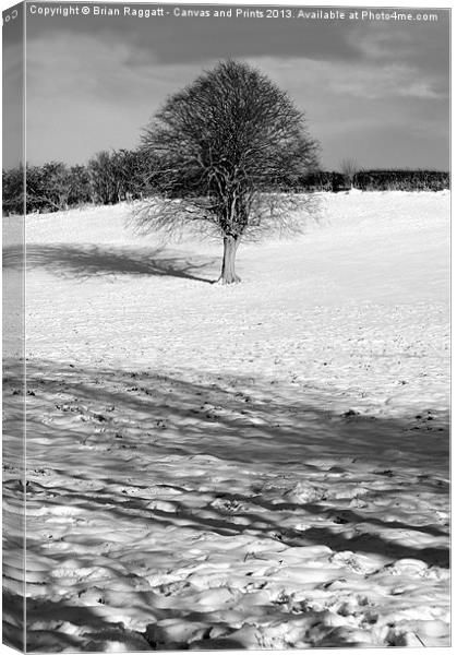 Tree on snow hill Canvas Print by Brian  Raggatt