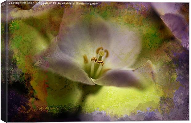 Nectar Delights Canvas Print by Brian  Raggatt