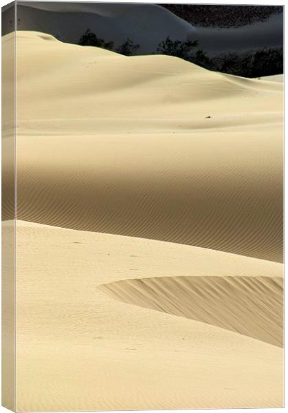 Island Desert Dunes Canvas Print by Brian  Raggatt