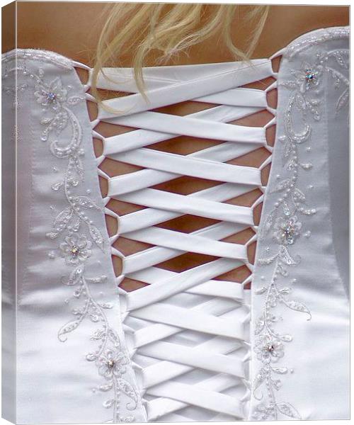 The Wedding Dress Canvas Print by Brian  Raggatt