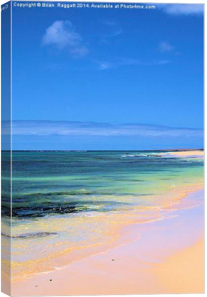 Tropical Island Blue Skies Canvas Print by Brian  Raggatt