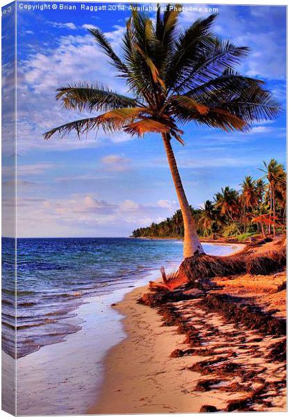  Tropical Island Beach Canvas Print by Brian  Raggatt