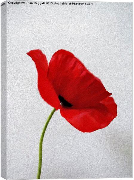  Poppy Painting Canvas Print by Brian  Raggatt