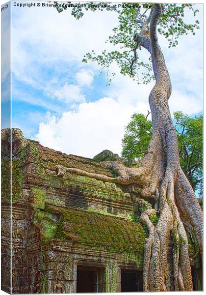  Angkor Temple Tree Roots Canvas Print by Brian  Raggatt