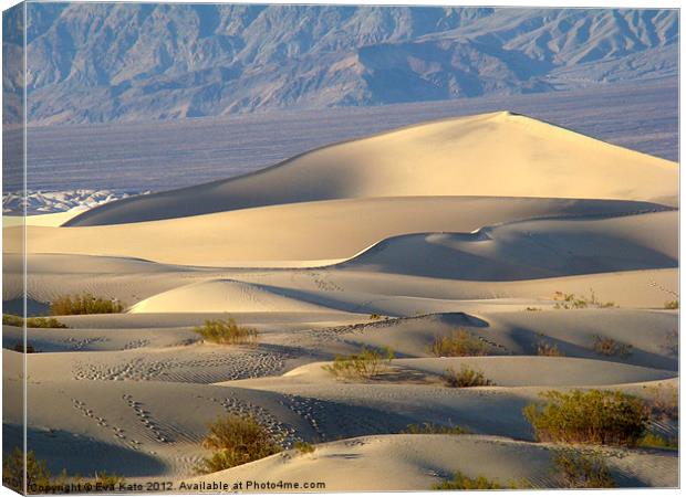 Death Valley Dunes Canvas Print by Eva Kato