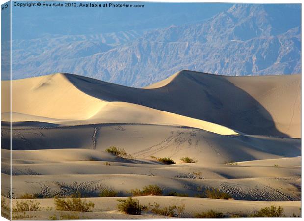 Death Valley Dunes 2 Canvas Print by Eva Kato