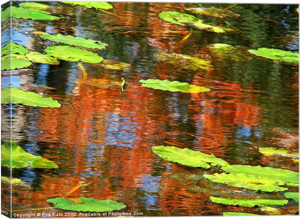 Lily Pads Over Reflections Canvas Print by Eva Kato