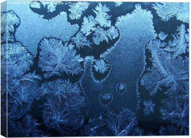 Window Frost Canvas Print by Eva Kato