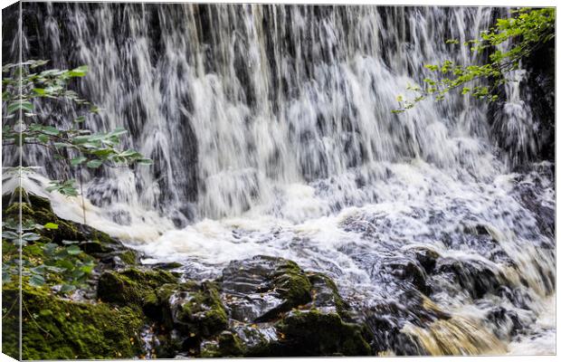Waterfall on the Silver river, Slieve Blooms, Ireland Canvas Print by Phil Crean