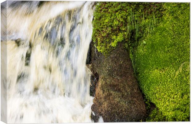 Waterfall moss abstract Ireland Canvas Print by Phil Crean