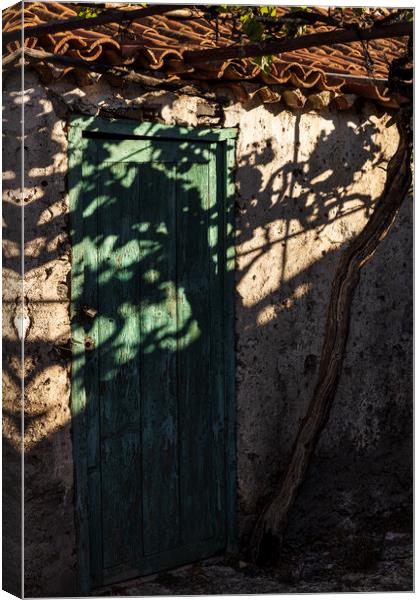 Vine shadow over rustic building Tenerife Canvas Print by Phil Crean