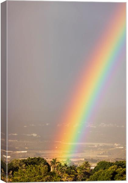 Vivid rainbow  Canvas Print by Phil Crean