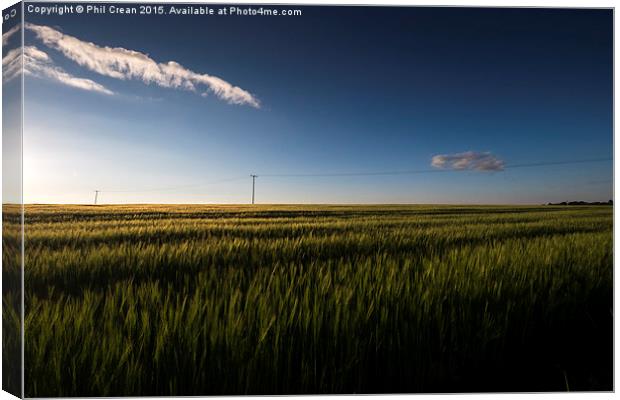  Cornfield & Telegraph pole at dusk Canvas Print by Phil Crean