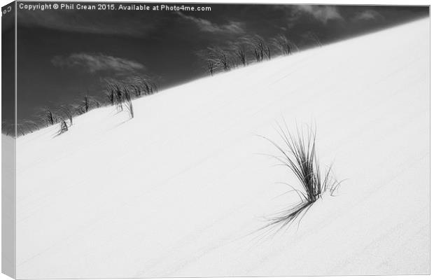  Sand dune and grass II Canvas Print by Phil Crean