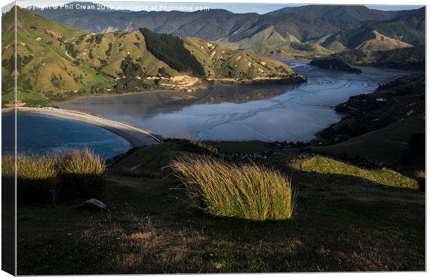  Cable bay, New Zealand Canvas Print by Phil Crean