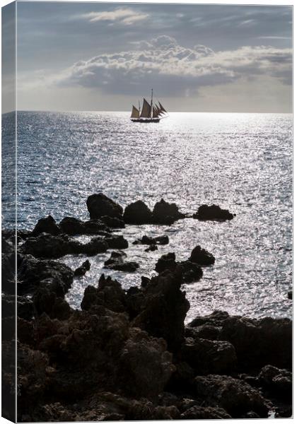 Tall ship offshore, Tenerife Canvas Print by Phil Crean