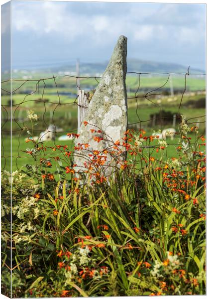 Stone fence post, Louisburgh, Mayo, Ireland Canvas Print by Phil Crean