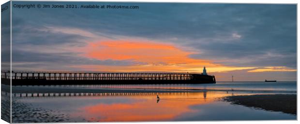 Seagull on Golden Pond Panorama Canvas Print by Jim Jones