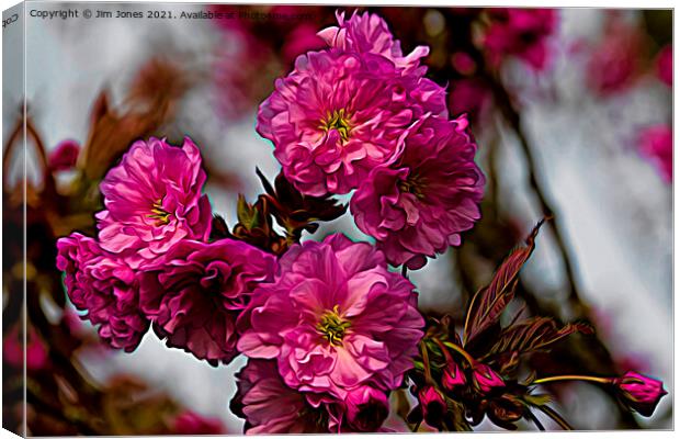 Artistic Cherry Blossom in Spring Canvas Print by Jim Jones