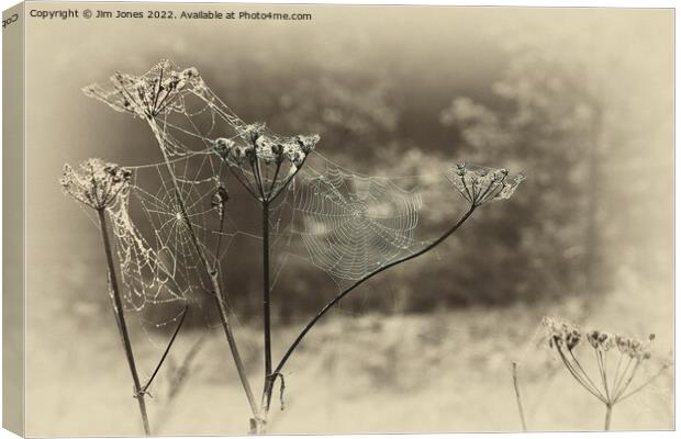 Artistic Spider's web Canvas Print by Jim Jones