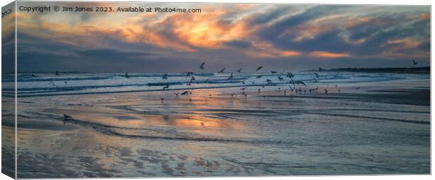 Seagulls at Sunrise - Panorama Canvas Print by Jim Jones