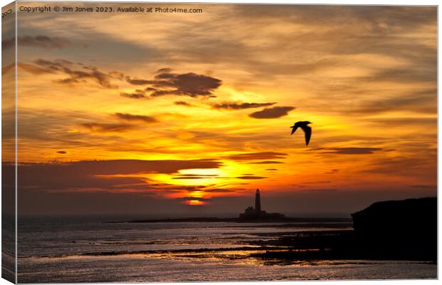 Sunrise, silhouettes and a seagull Canvas Print by Jim Jones