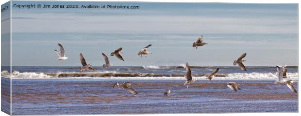 Seagulls Panorama Canvas Print by Jim Jones