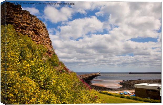 The mouth of the River Tyne Canvas Print by Jim Jones