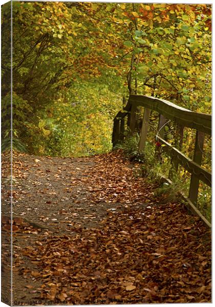 Golden Autumn Woodland Walk Canvas Print by Jim Jones