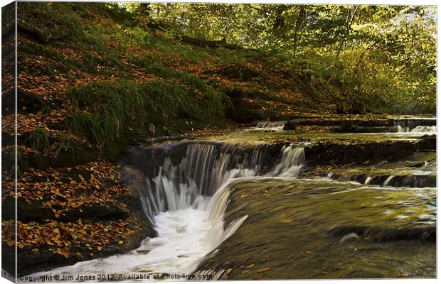 Cascading River in Autumn Canvas Print by Jim Jones