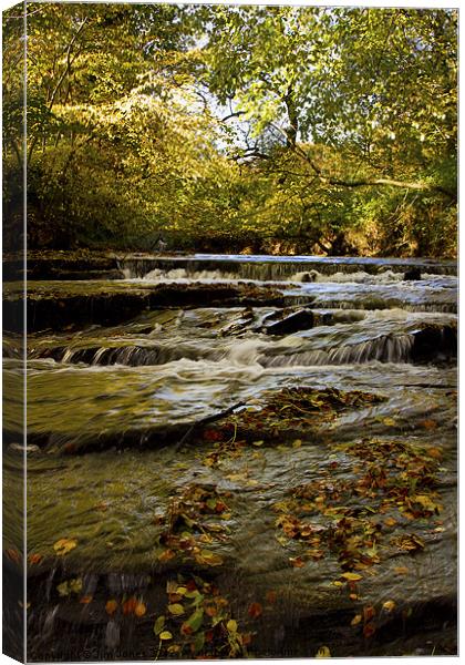 Cascading River in Autumn Canvas Print by Jim Jones