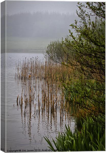 Mist on the Lake Canvas Print by Jim Jones