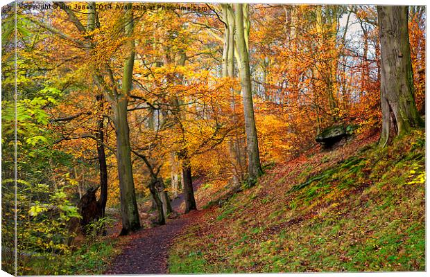  Golden Autumn Canvas Print by Jim Jones