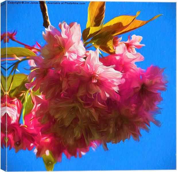  Artistic Cherry Blossom Canvas Print by Jim Jones