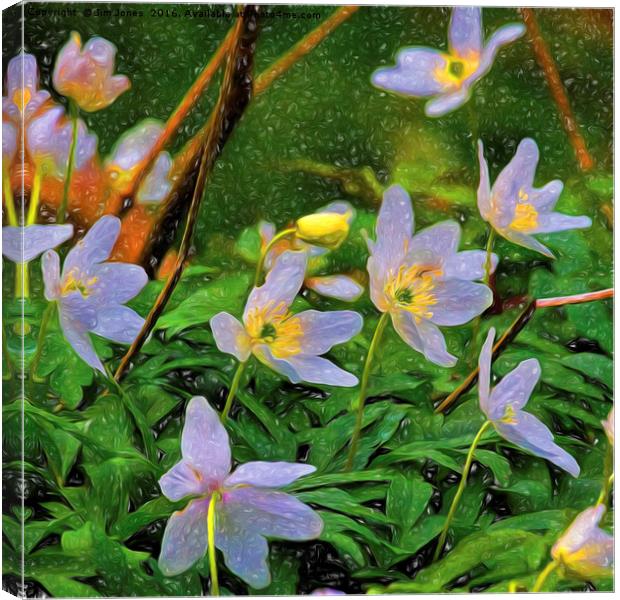 Artistic Wood Anemone Canvas Print by Jim Jones