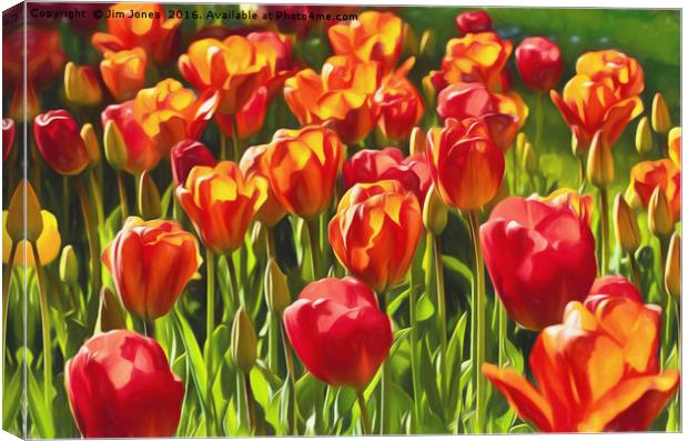 Artistic Tulips Canvas Print by Jim Jones