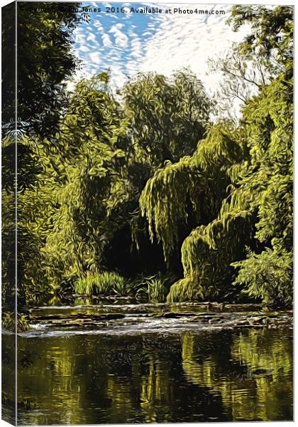 Artistic Weeping Willows and Water Canvas Print by Jim Jones