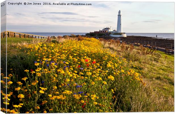 Wild flowers and St Mary's Island Canvas Print by Jim Jones