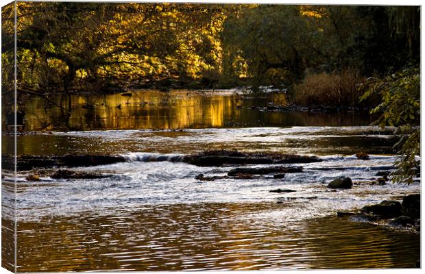 River of gold Canvas Print by Jim Jones