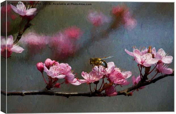 Artistic springtime Canvas Print by Jim Jones