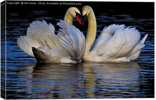 Young Love Canvas Print by Jim Jones